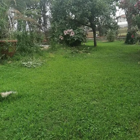 Casa Delle Rose Gelsomino Appartement San Mauro Pascoli