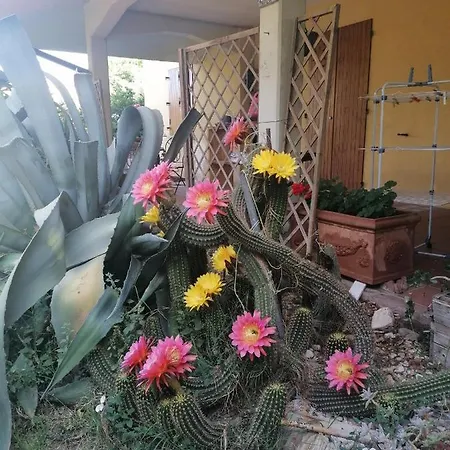 Casa Delle Rose Gelsomino *