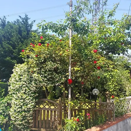 Casa Delle Rose Gelsomino סן מאורו פסקולי